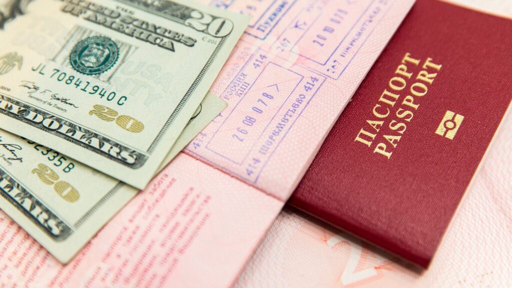 留学に必要なビザや外国のお金が置かれている写真。